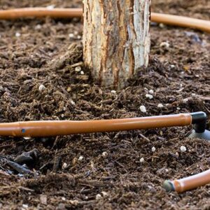 Micro-aspersion et brumisation